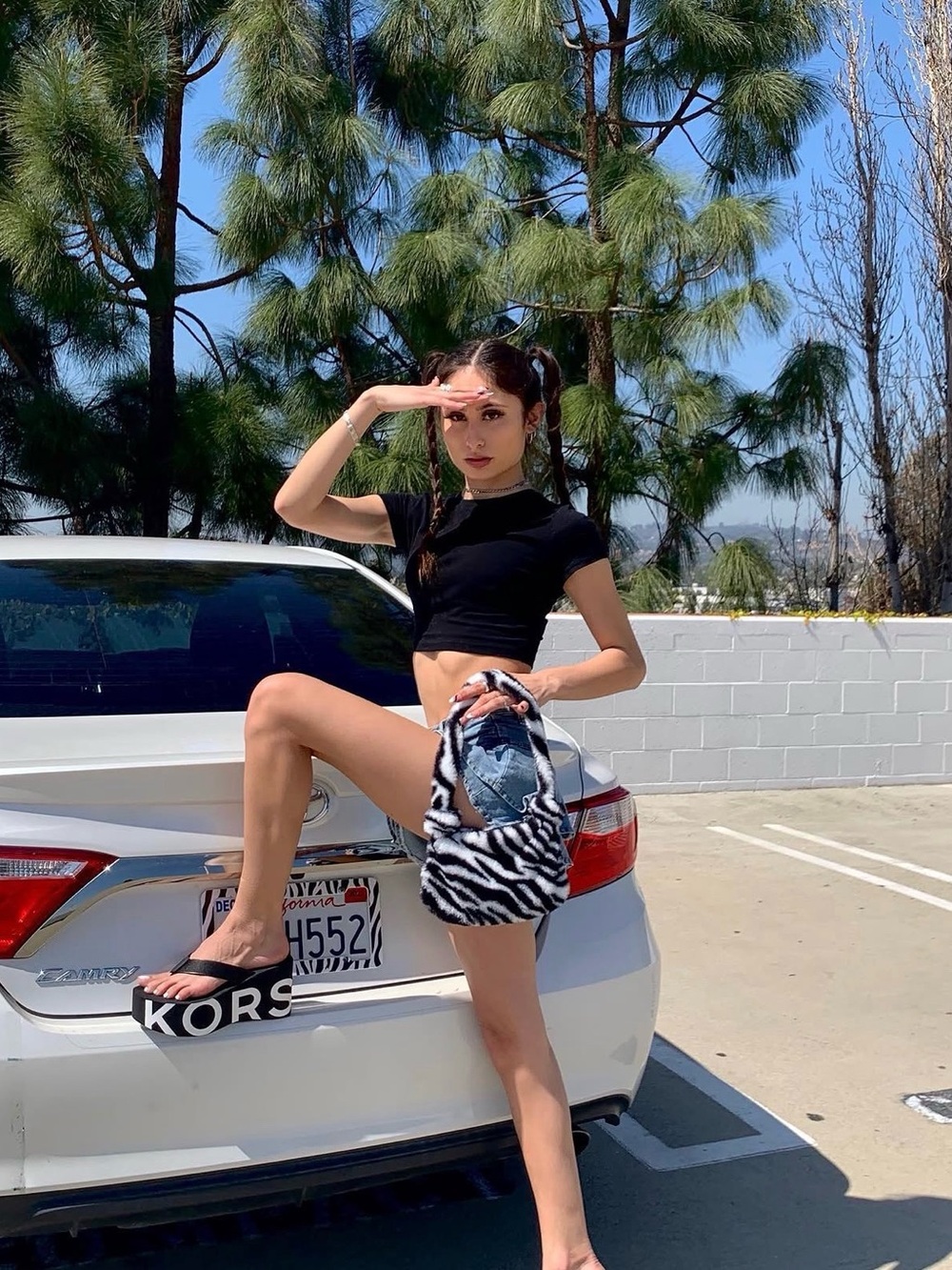 Zebra Bag